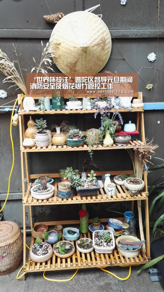 ‘世界杯投注’普陀区督导元旦期间消防安全及烟花爆竹管控工作(图2) 世界杯投注