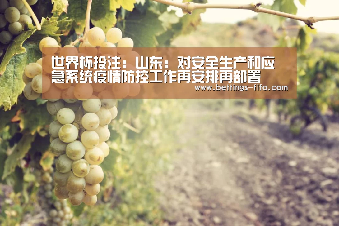 世界杯投注:山东:对安全生产和应急系统疫情防控工作再安排再部署(图1) 世界杯投注