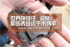 世界杯投注-洞察:那些表现优于市场平均水平的自动化产品(图1) 世界杯投注