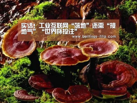 实话!工业互联网“落地”还需“接地气”“世界杯投注”(图1) 世界杯投注