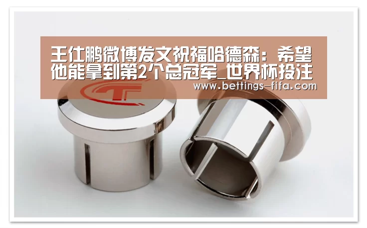 王仕鹏微博发文祝福哈德森:希望他能拿到第2个总冠军_世界杯投注(图1) 世界杯投注