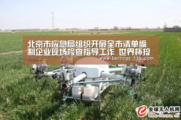 北京市应急局组织开展全市清单编制企业现场检查指导工作_世界杯投注(图1) 世界杯投注