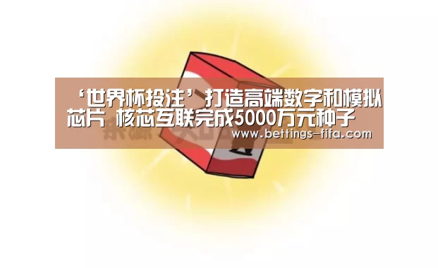 ‘世界杯投注’打造高端数字和模拟芯片 核芯互联完成5000万元种子轮融资(图2) 世界杯投注