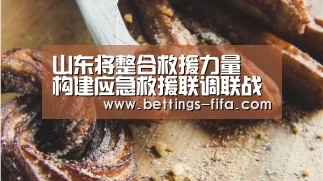 山东将整合救援力量 构建应急救援联调联战工作机制“世界杯投注”(图2) 世界杯投注