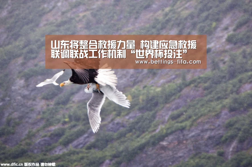 山东将整合救援力量 构建应急救援联调联战工作机制“世界杯投注”(图1) 世界杯投注