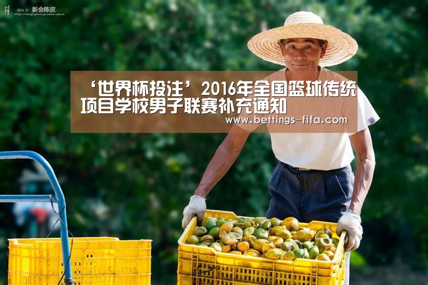 ‘世界杯投注’2016年全国篮球传统项目学校男子联赛补充通知(图1) 世界杯投注