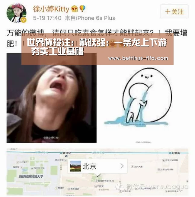 世界杯投注:戴跃强:一条龙上下游 夯实工业基础(图1) 世界杯投注