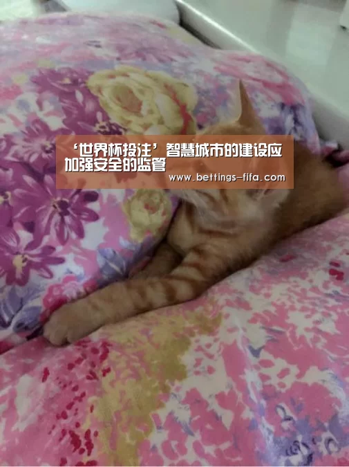 ‘世界杯投注’智慧城市的建设应加强安全的监管(图2) 世界杯投注