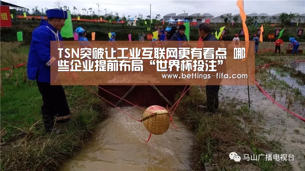 TSN突破让工业互联网更有看点 哪些企业提前布局“世界杯投注”(图4) 世界杯投注