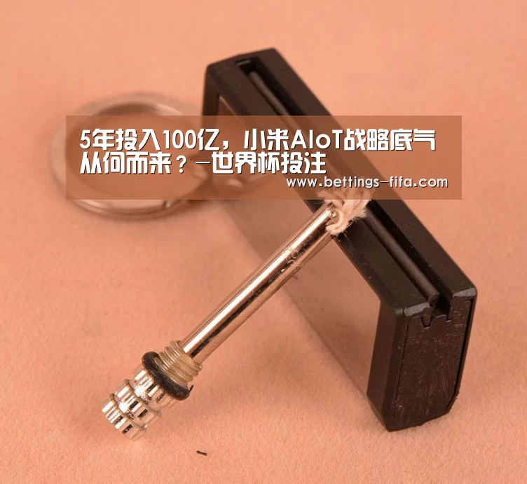 5年投入100亿,小米AIoT战略底气从何而来?-世界杯投注(图1) 世界杯投注
