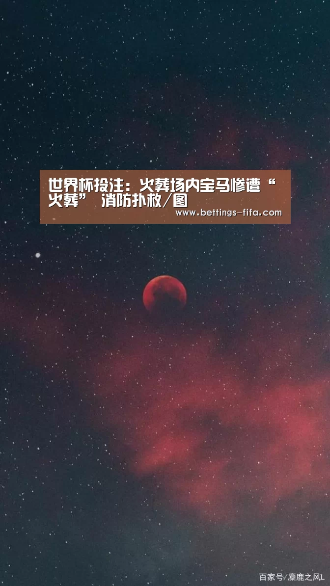 世界杯投注:火葬场内宝马惨遭“火葬” 消防扑救/图(图3) 世界杯投注
