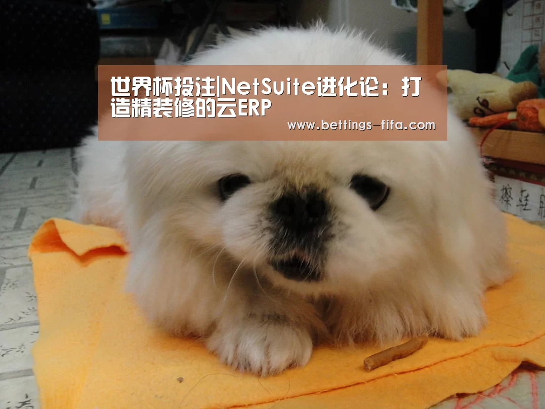 世界杯投注|NetSuite进化论:打造精装修的云ERP(图1) 世界杯投注