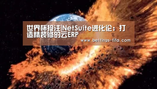 世界杯投注|NetSuite进化论:打造精装修的云ERP(图3) 世界杯投注