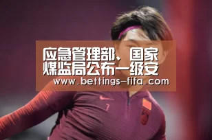 应急管理部、国家煤监局公布一级安全生产标准化煤矿名单_世界杯投注(图1) 世界杯投注