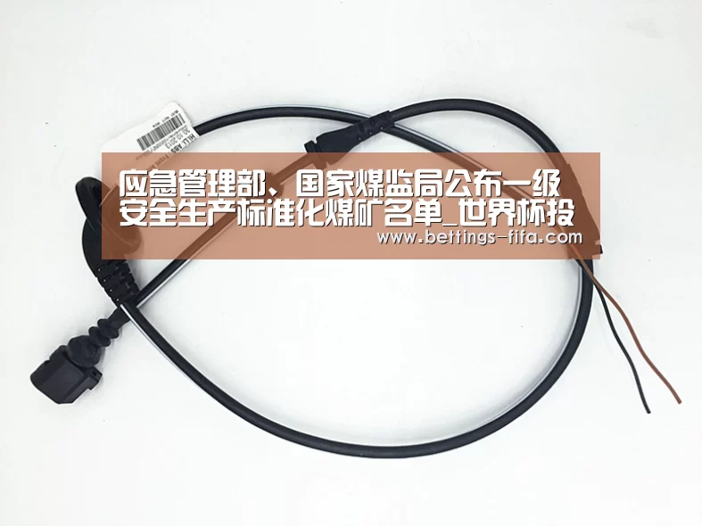 应急管理部、国家煤监局公布一级安全生产标准化煤矿名单_世界杯投注(图4) 世界杯投注