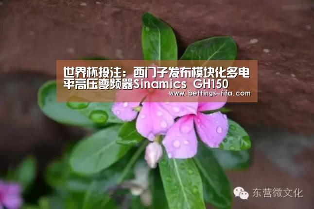 世界杯投注:西门子发布模块化多电平高压变频器Sinamics GH150(图1) 世界杯投注
