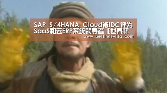 SAP S/4HANA Cloud被IDC评为SaaS和云ERP系统领导者【世界杯投注】(图1) 世界杯投注