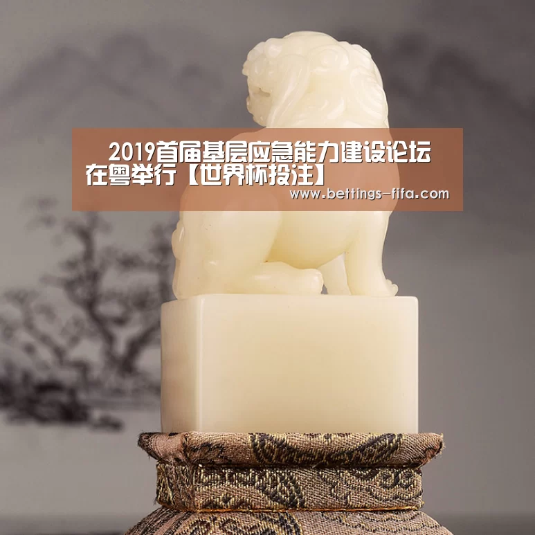 2019首届基层应急能力建设论坛在粤举行【世界杯投注】(图1) 世界杯投注
