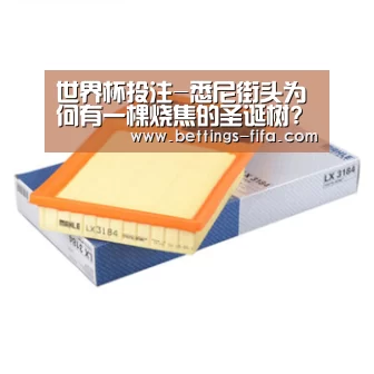 世界杯投注-悉尼街头为何有一棵烧焦的圣诞树?(图1) 世界杯投注
