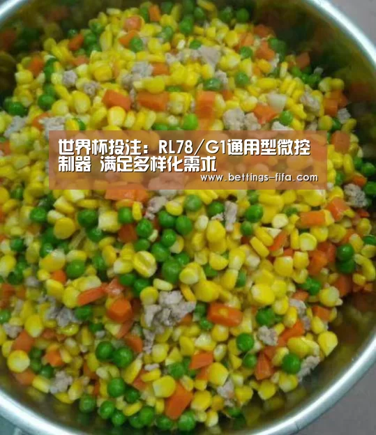 世界杯投注:RL78/G1通用型微控制器 满足多样化需求(图2) 世界杯投注