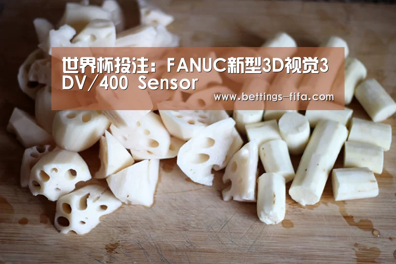 世界杯投注:FANUC新型3D视觉3DV/400 Sensor(图2) 世界杯投注
