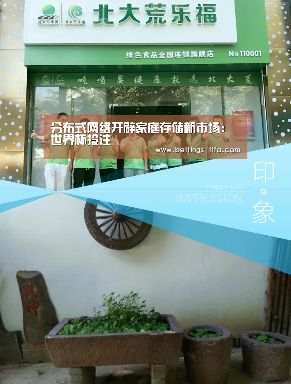 分布式网络开辟家庭存储新市场:世界杯投注(图2) 世界杯投注