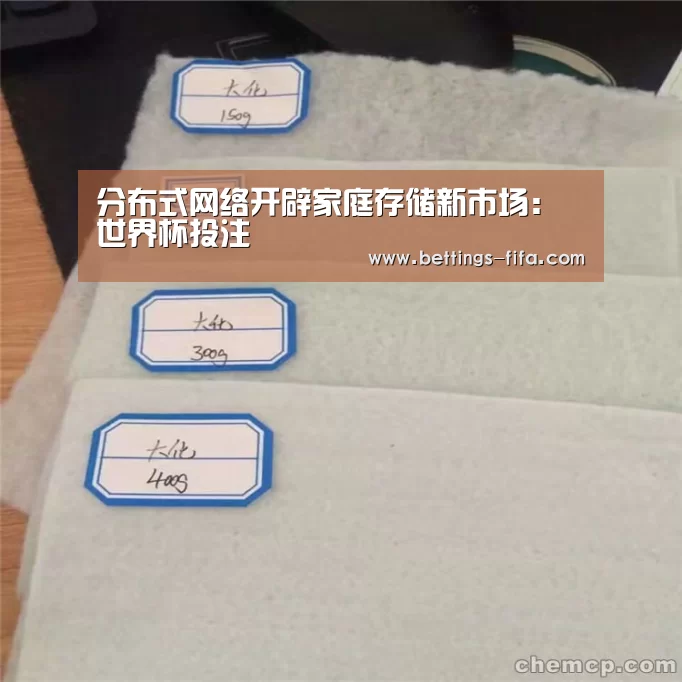 分布式网络开辟家庭存储新市场:世界杯投注(图3) 世界杯投注